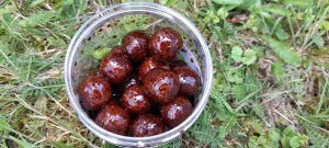 Boilies v nálevu 200ml Čokoláda